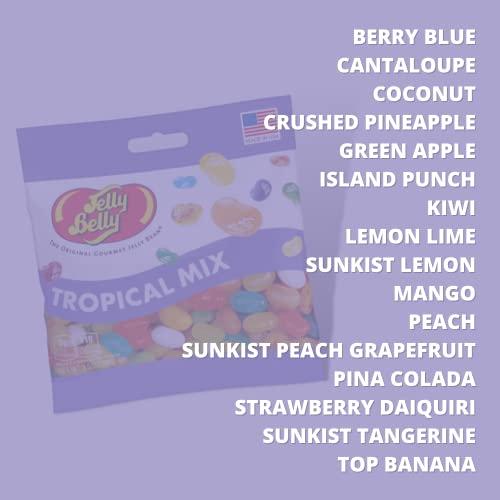 Needzo Jelly Bean Tropical Mix Bulk Shareable Candy, Fruit Flavored Gourmet Chewy Candies for Gift Baskets, Pack of 3, 3.5 Ounce Bag