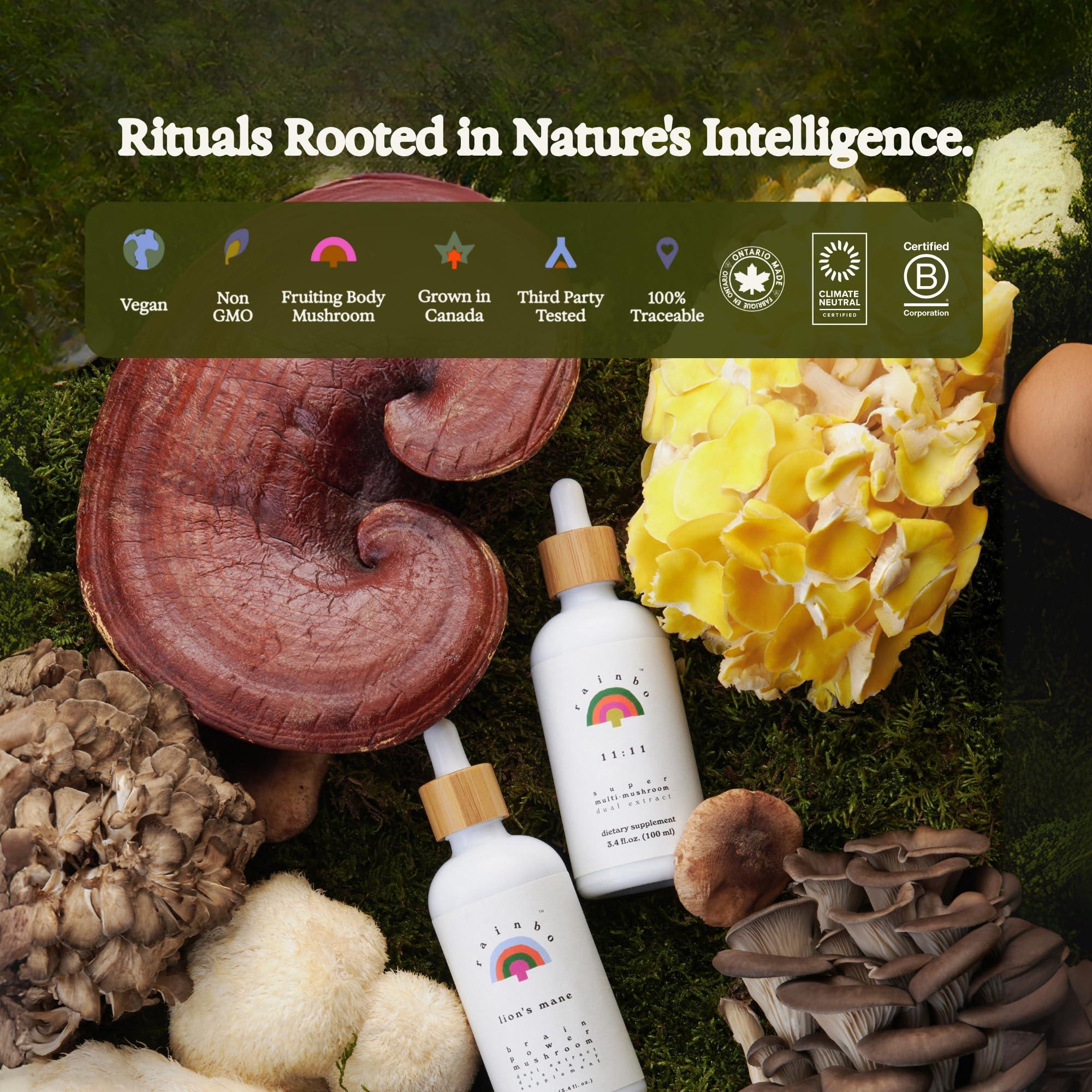 Rainbo Rainbo 11:11 Multi Mushroom Tincture, Dual Extract Mushroom Supplement for Comprehensive Immune Support, Brain Support, Liquid Lion's Mane & Turkey Tail, Vegan, Non GMO, 3.4 fl oz