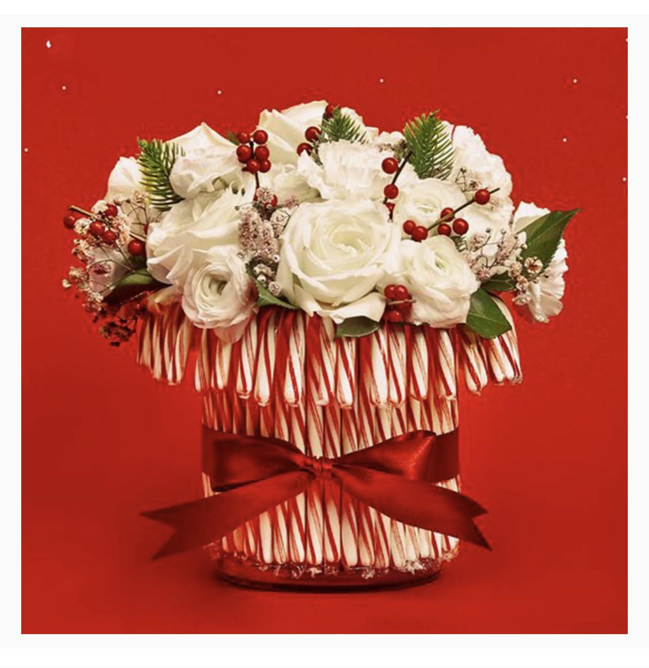 KANDYRIFIK CANDY CANES (432 COUNT) - 36 PACK, Peppermint Candy Canes, Individually Wrapped Bulk Candy Canes, Christmas Candy, Stocking Stuffers for Kids, Holiday Classic, Creative Booklet Idea and SameDay Shippers Souvenir Included