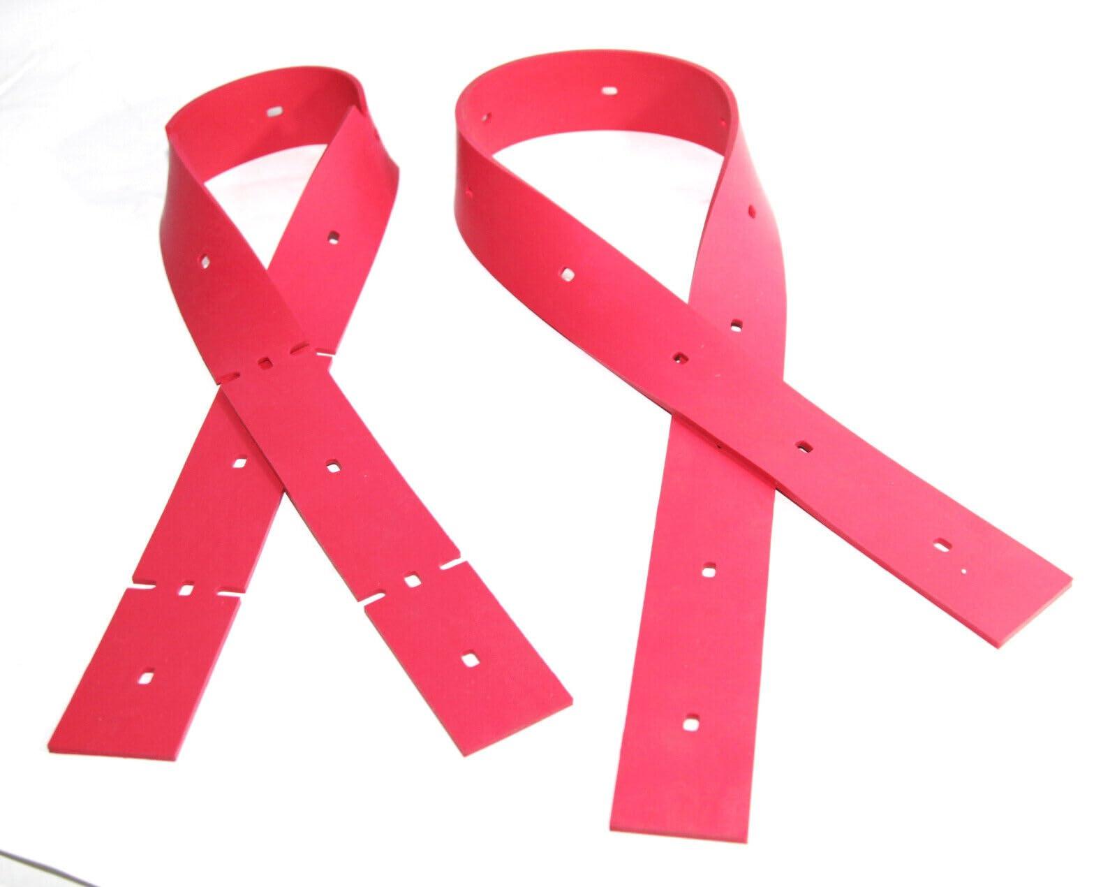 The Wellness Company The Wellness Company Immune Support Elderberry Gummies | 60 Mixed Berry Gummies, 2 Month Supply | Elderberry and Essential Vitamins for a Natural Immunity Boost | Vegan, Gluten-Free