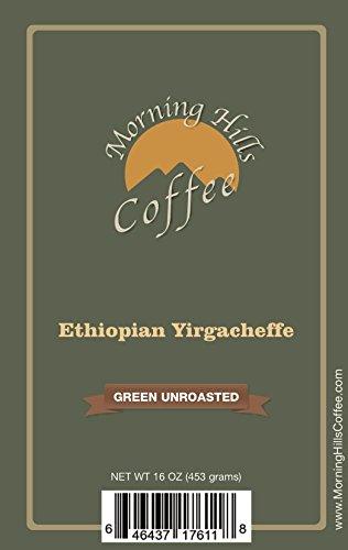 Morning Hills Coffee Ethiopian Yirgacheffe Green Unroasted Coffee Beans 1 Pound