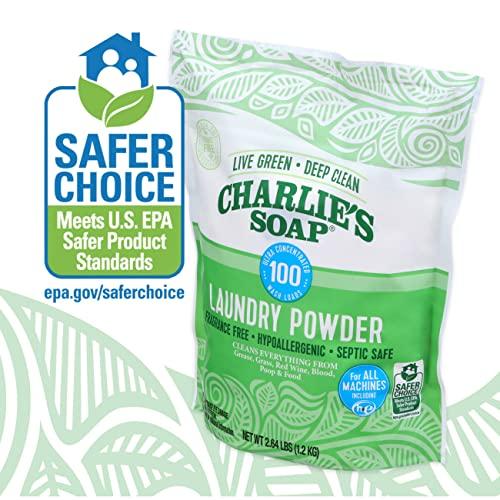 Charlie's Soap Charlie’s Soap Laundry Powder (100 Loads, 4 Pack) Deep Cleaning Washing Powder Detergent – Eco-Friendly, Safe, and Effective