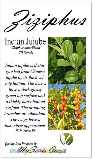 Kettle Brand Kettle Brand Potato Chips Sea Salt & Vinegar Kettle Chips, 13 Oz