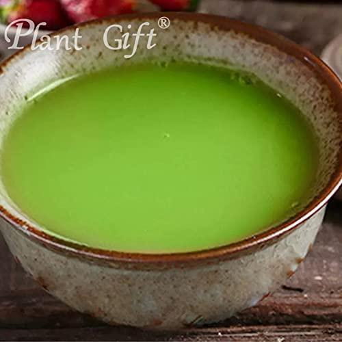 Plant Gift Plant Gift 100% Pure Celery Powder Powder Natural Celery Powder Flour, Great Flavor for Drinks, Adds Flavor and Taste Non-GMO Powder, No Filler, No additives 100G/3.25oz