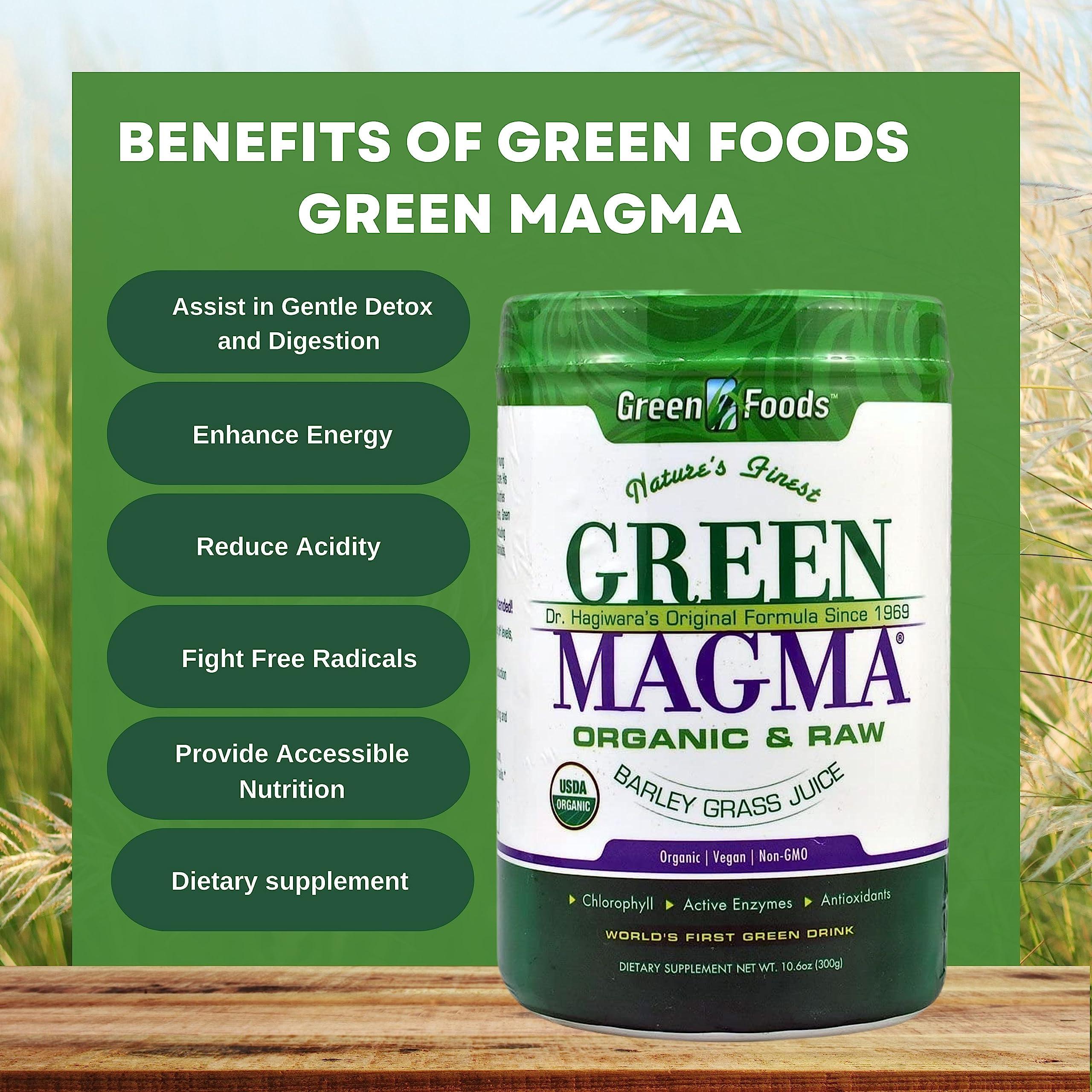 Worldwide Nutrition Worldwide Nutrition Green Foods, Green Magma Organic, Digestive Enzymes, Fiber Supplement & Whole Foods -10.6 Ounce Protein Powder Multi Purpose Key Chain