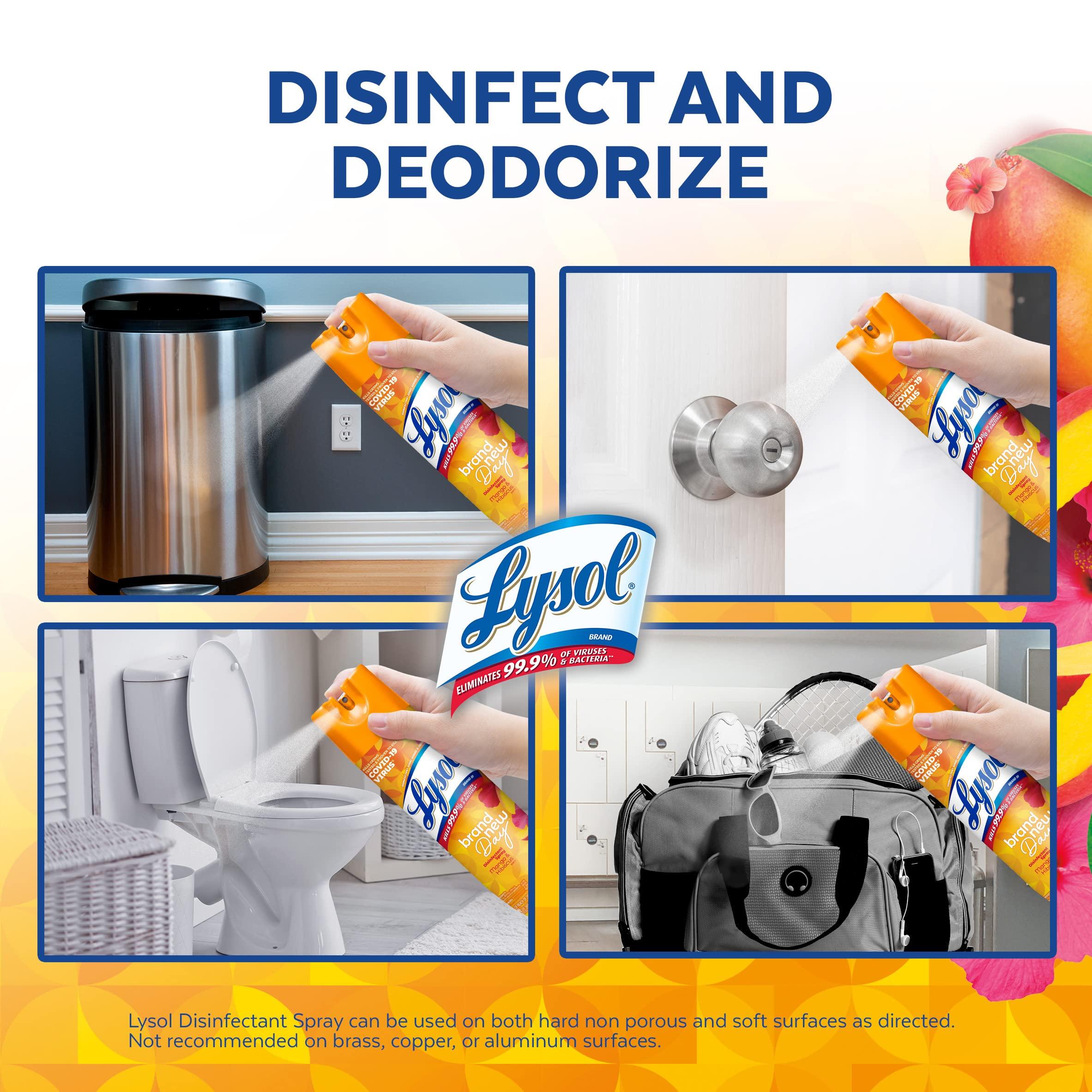 Lysol Lysol Disinfectant Spray, Sanitizing and Antibacterial Spray, For Disinfecting and Deodorizing, Mango & Hibiscus Scent, 19 Fl Oz, (Packaging May Vary)