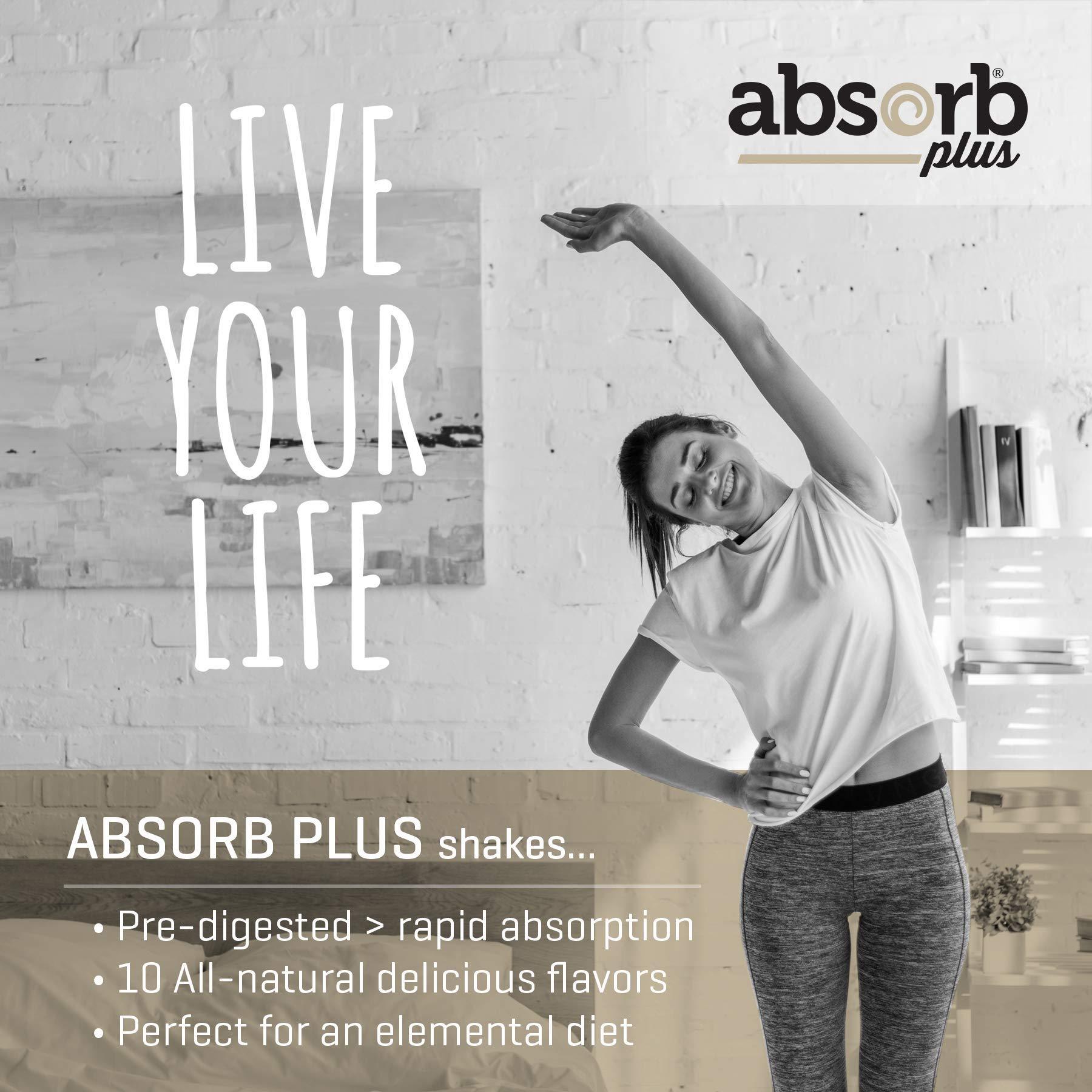 Absorb Plus Absorb Plus Elemental Shake  Nutrient-Rich Powder  Lactose-Free, Casein-Free, No Artificial Additives  Smooth, Easily Mixable Powder for Versatile Use  (100 g, Simply Vanilla)