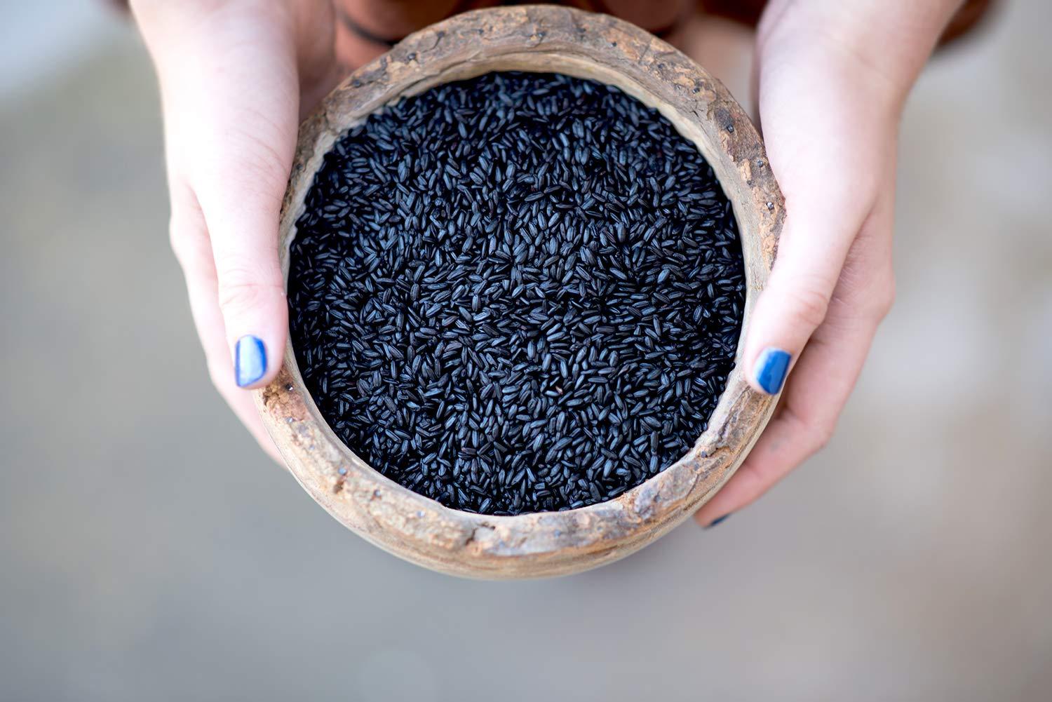 Lotus Foods Lotus Foods Bulk Organic Forbidden Rice - Black Rice Organic, Purple Rice, Black Rice Bulk, Gluten Free Heirloom Rice, Whole Grain, Non GMO, Vegan - 11 lb Bag