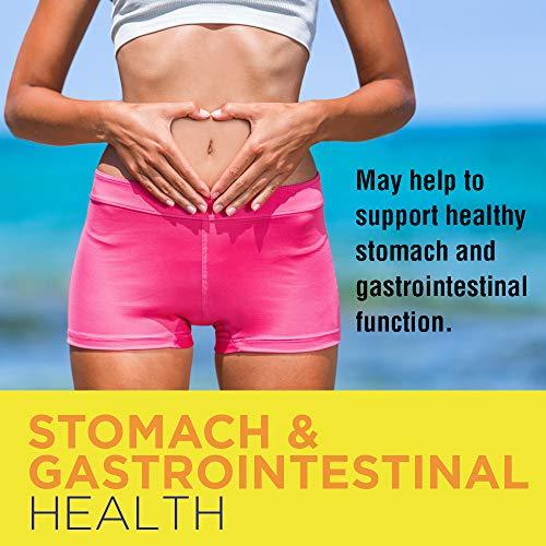 Nature's Life Nature's Life DGL Licorice Tablets, 380 Mg, Chewable, 100 Count