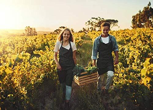 SavvyFare SavvyFare Microwaveable Whole Grain Brown Rice | 90-second Rice, 8.8oz