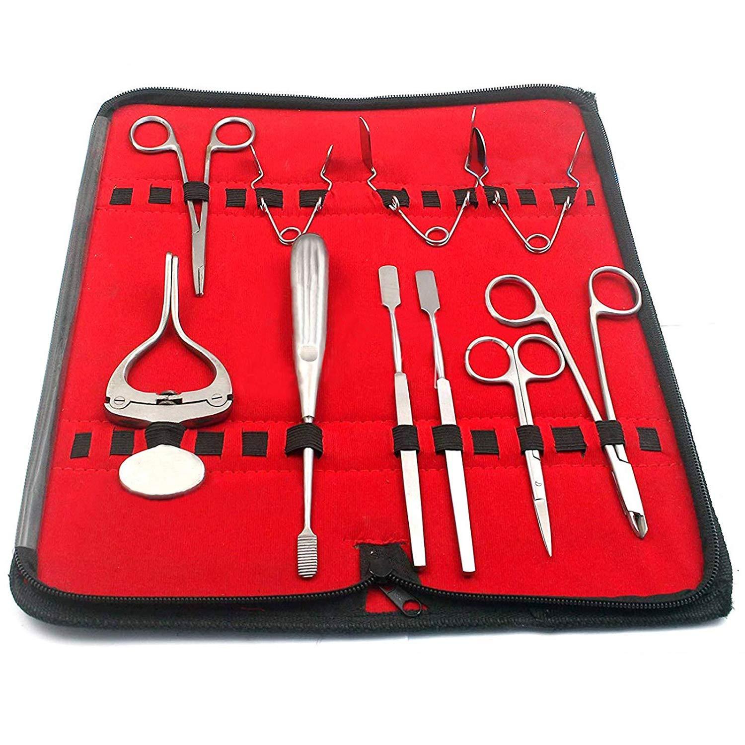 AAProTools AAProTools Rodent Small Animal Cheek Teeth Molar Incisor Dentistry Dental Care Kit Set Tray Rabbit Chinchilla Gerbil Guinea Hamster Rat Veterinary Stainless Steel Instruments