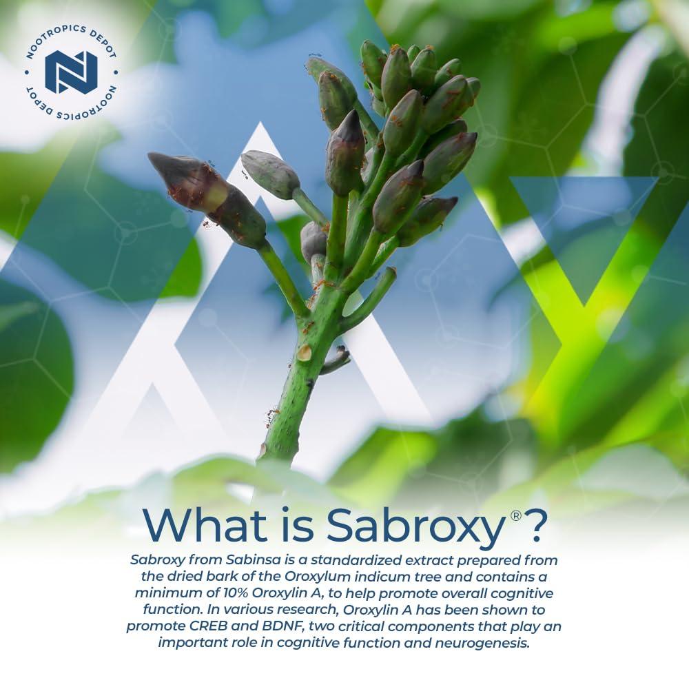 Nootropics Depot Nootropics Depot Sabroxy Tablets | 500mg | 60 Count | Minimum 10% Oroxylin-A | Oroxylum indicum | May Help Promote Focus & Motivation | May Help Promote Cognitive Function