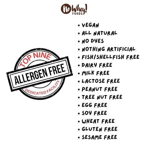 No Whey! Foods Vegan, Plant Based, Gluten Free Gourmet Chocolates | Everything Good Truffle Collection (15 Pieces) | Dairy Free, Nut Free, Peanut Free, Soy Free | Allergy Friendly Gifts | By No Whey! Foods