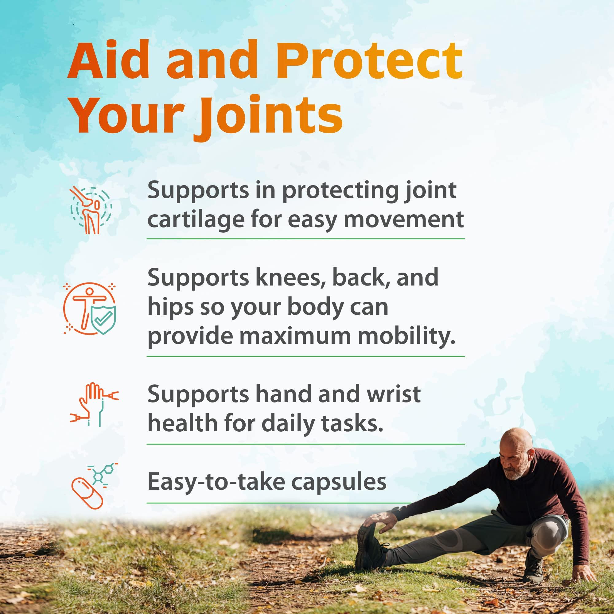 Zenith Labs Zenith Labs Joint N-11 Joint Health Supplement