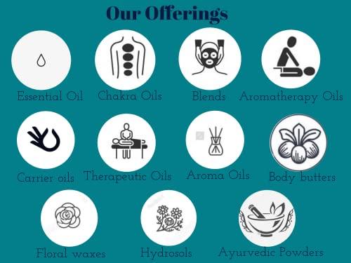 KRT Distributions Real Glass Reading Glasses with Clear Real Glass Lenses in Geek Style Frame Available in Reading Magnification +0.25 to +3.00 (1.75)