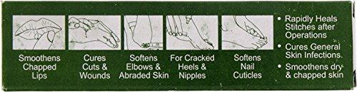 BOROLINE Boroline Antiseptic Ayurvedic Cream 20g (pack Of 6) (Ship from India)