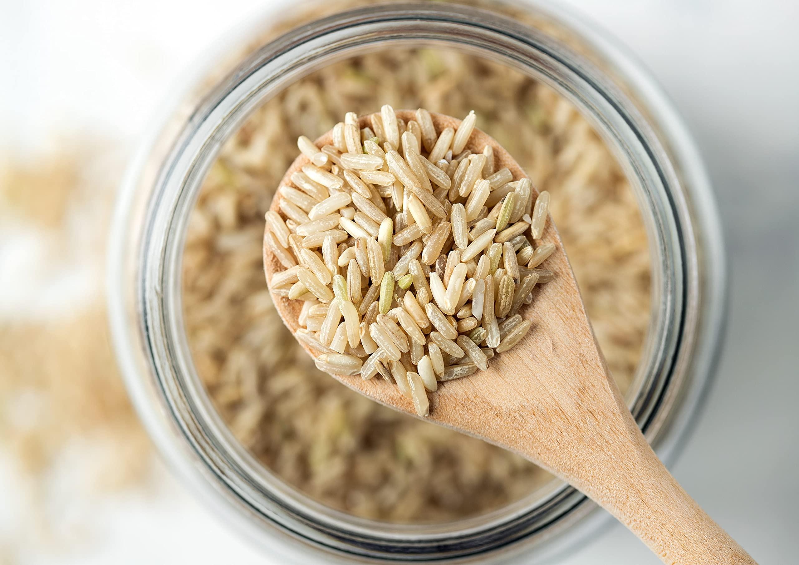 Food to Live Food to Live Jasmine Brown Rice, 1 Pound Whole-Grain and Long-Grain Thai Rice, Vegan, Kosher, Bulk. Higher in Fiber than White Jasmine Rice. Great as Side Dish