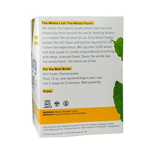 Mighty Leaf Tea Mighty Leaf Whole Leaf Tea, Organic Mint Melange, 15 Tea Bags Individual Pyramid-Style Tea Sachets of Uncaffeinated Organic Mint Tea, Delicious Hot or Iced, Sweetened or Plain