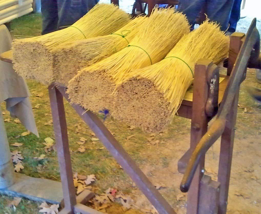 Parker Homestead Broom Corn for Crafting and Broom Making 10 Pound Bundle 20\" Length (Broom Corn)
