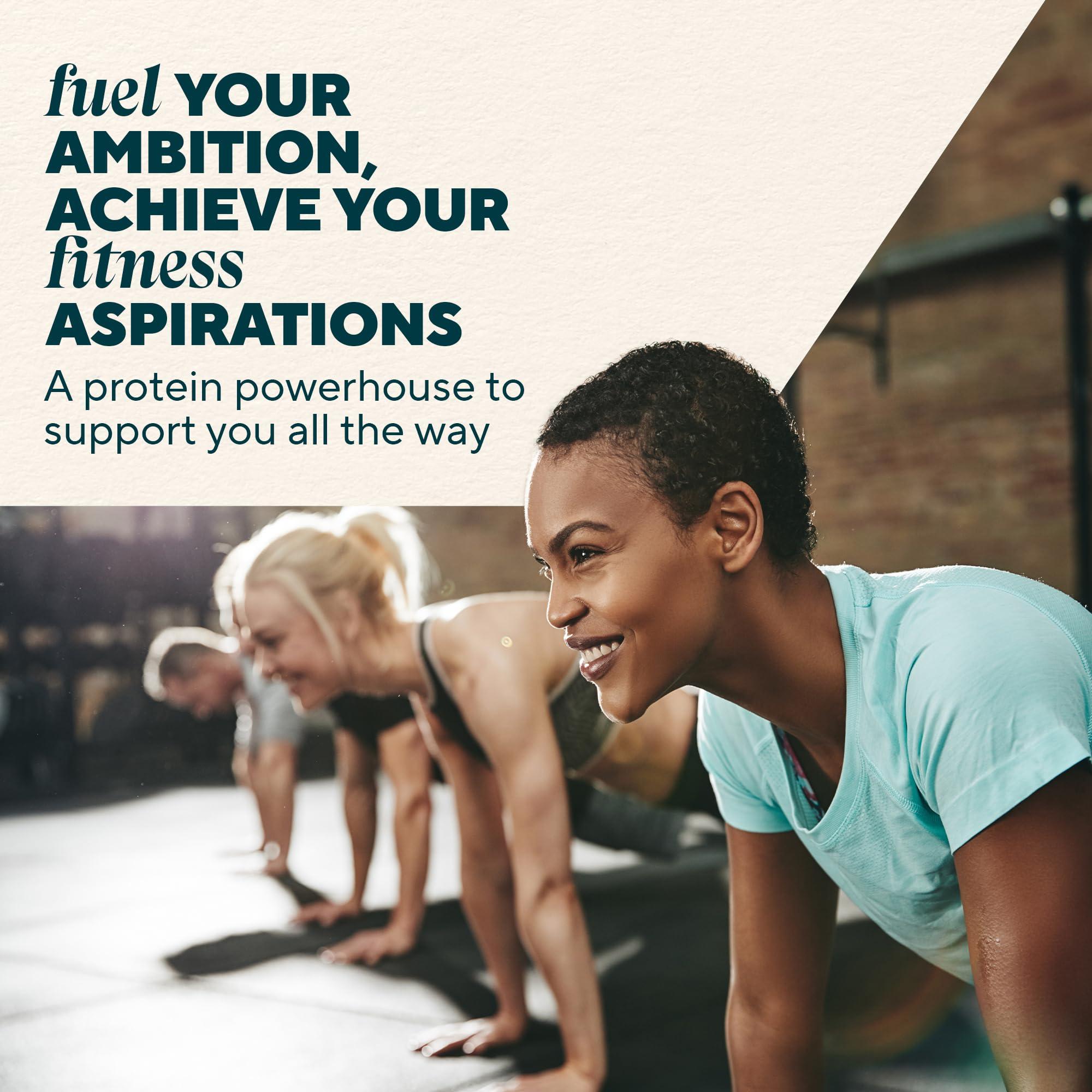 Myprotein Myprotein Protein Bars, Crispy Protein Wafers, 15g High Protein Snacks, Box of 10 Chocolate Wafers Packs, Milk & Whey Protein Isolate, Light & Crunchy Snack Bars, Delicious Protein Bar Squares