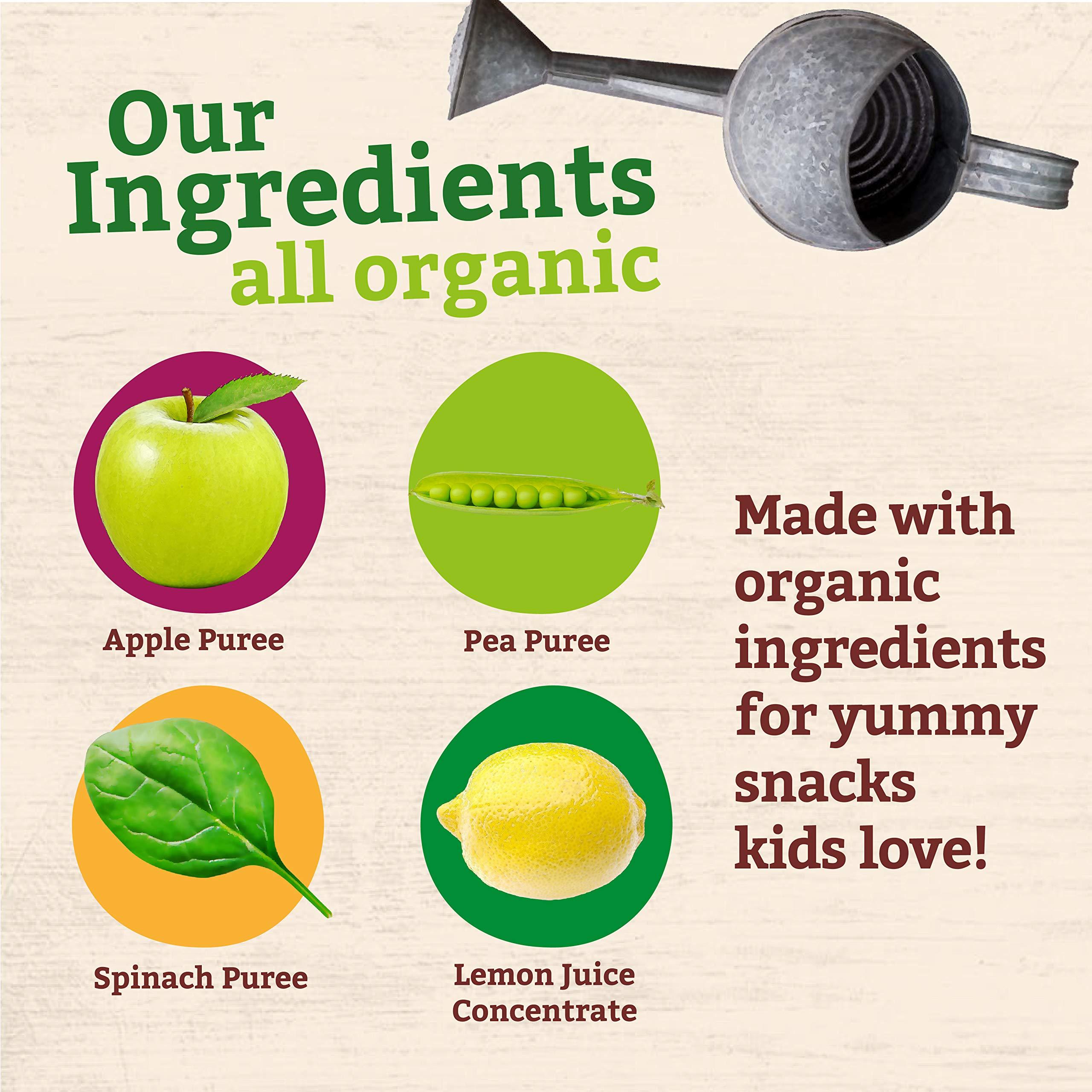 Pumpkin Tree Pumpkin Tree Peter Rabbit Organics, Pea, Spinach and Apple Puree, 4.4-Ounce Pouches (Pack of 10)