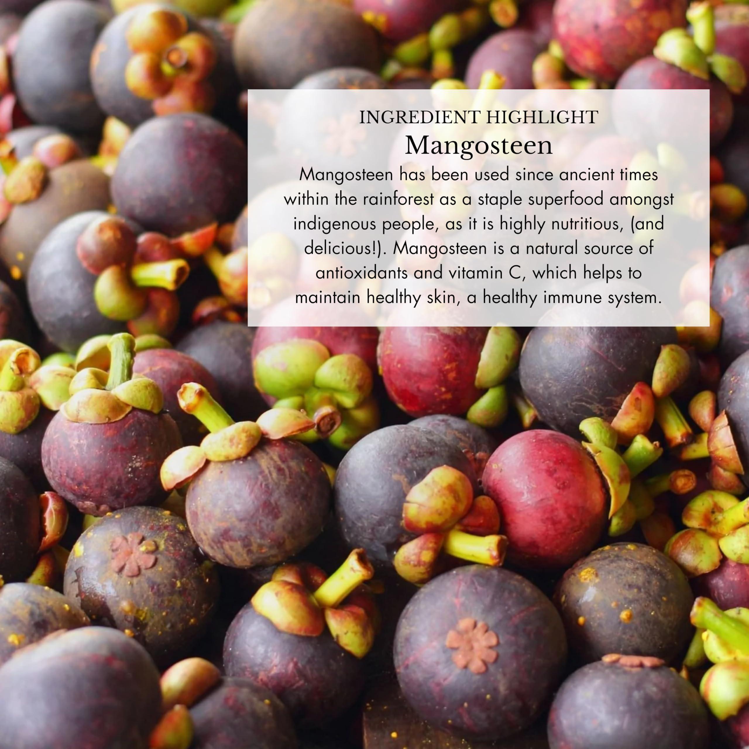 Anima Mundi Apothecary Anima Mundi Adaptogenic 7 Mushroom Drops - Adaptogenic Blend with Organic Mushroom Extracts - Liquid Immune Support Tincture with Reishi, Lion\'s Mane, Cordyceps & Chaga Mushroom Liquid Extract (2oz)