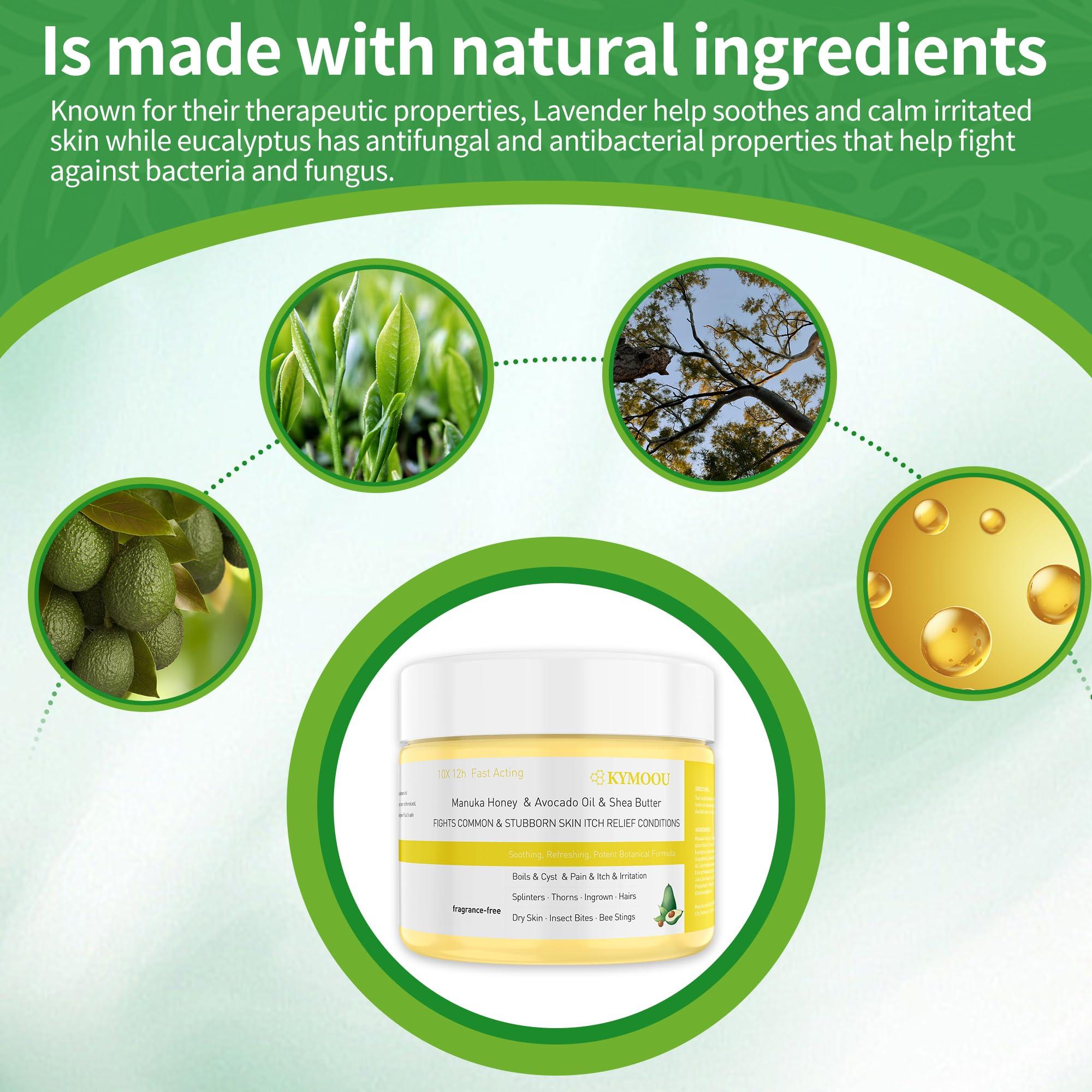 KYMOOU 4 PCS Manuka Honey Tea Tree Drawing Salve Cream Ointment for Boil, Cyst Removal Patch, Splinter Remover, Boil Ease, Ingrown Hair, Chigger, Carbuncle, Pilonidal, Bug, Mosquito, Spider Bites, Bee Sting