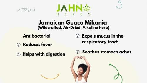 Jahno Herbs Jamaican Guaco Mikania (Wildcrafted, Air-Dried, Alkaline Herb)