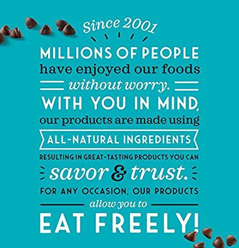 Enjoy Life Foods Enjoy Life Semi-sweet Chocolate Mini Chips, 10 Ounce, Pack of 2