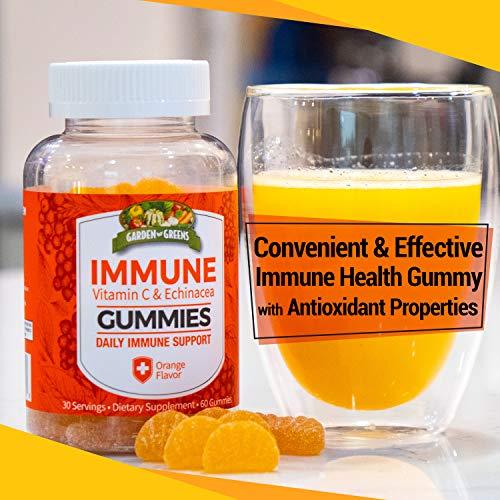 Garden Greens Garden Greens Immune Gummies with Vitamin C and Echinacea, Daily Immune Support, Orange Flavor, 60 Gummies, 30 Servings