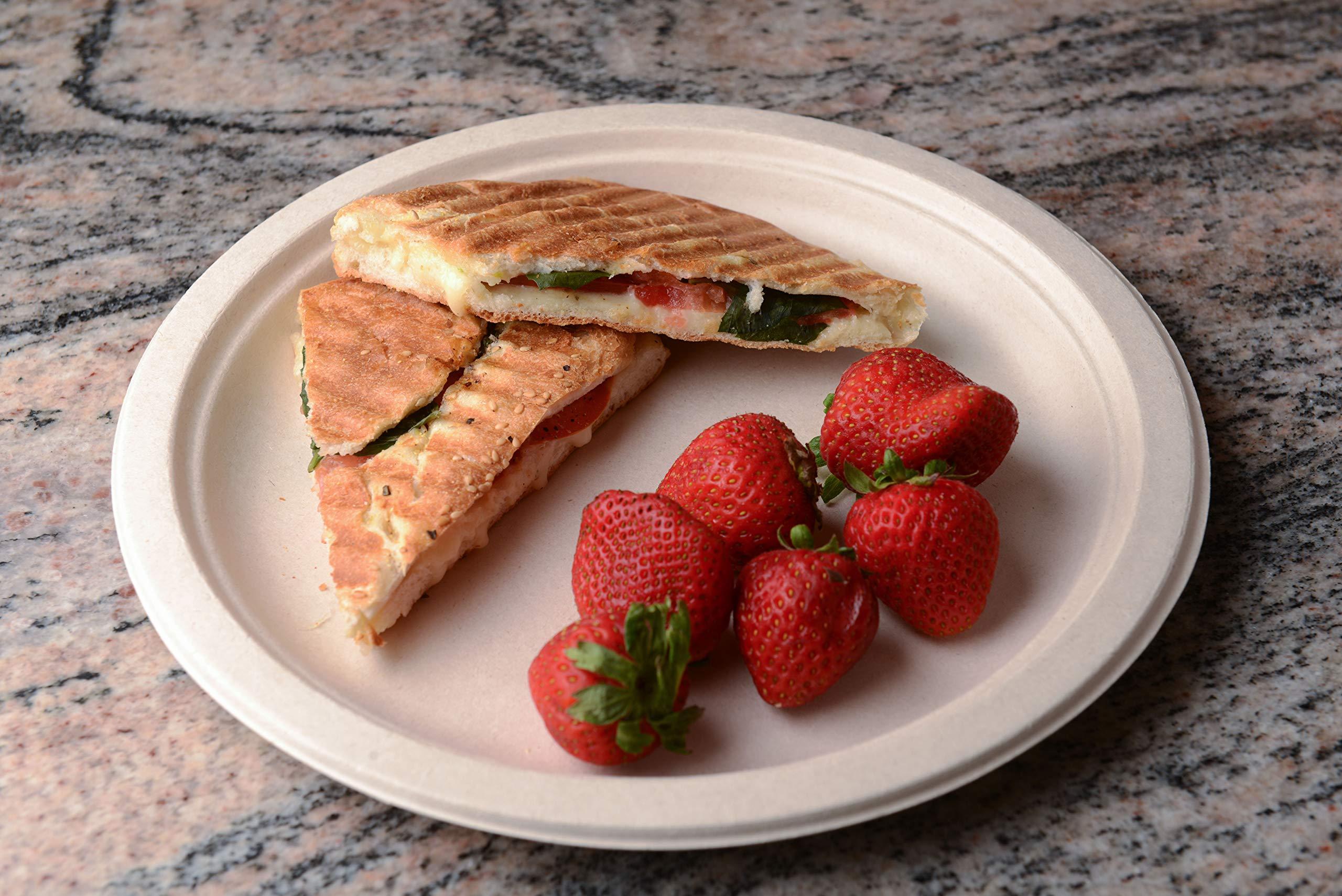 CANADIAN LODGEPOLE PINE POLLEN Canadian Pine Pollen Lodgepole Pine Pollen Powder, 30 GR