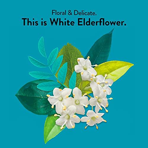 Choice Organics Choice Organic White Elderflower & Green Tea, Caffeinated, 16 Bags (Pack Of 6)