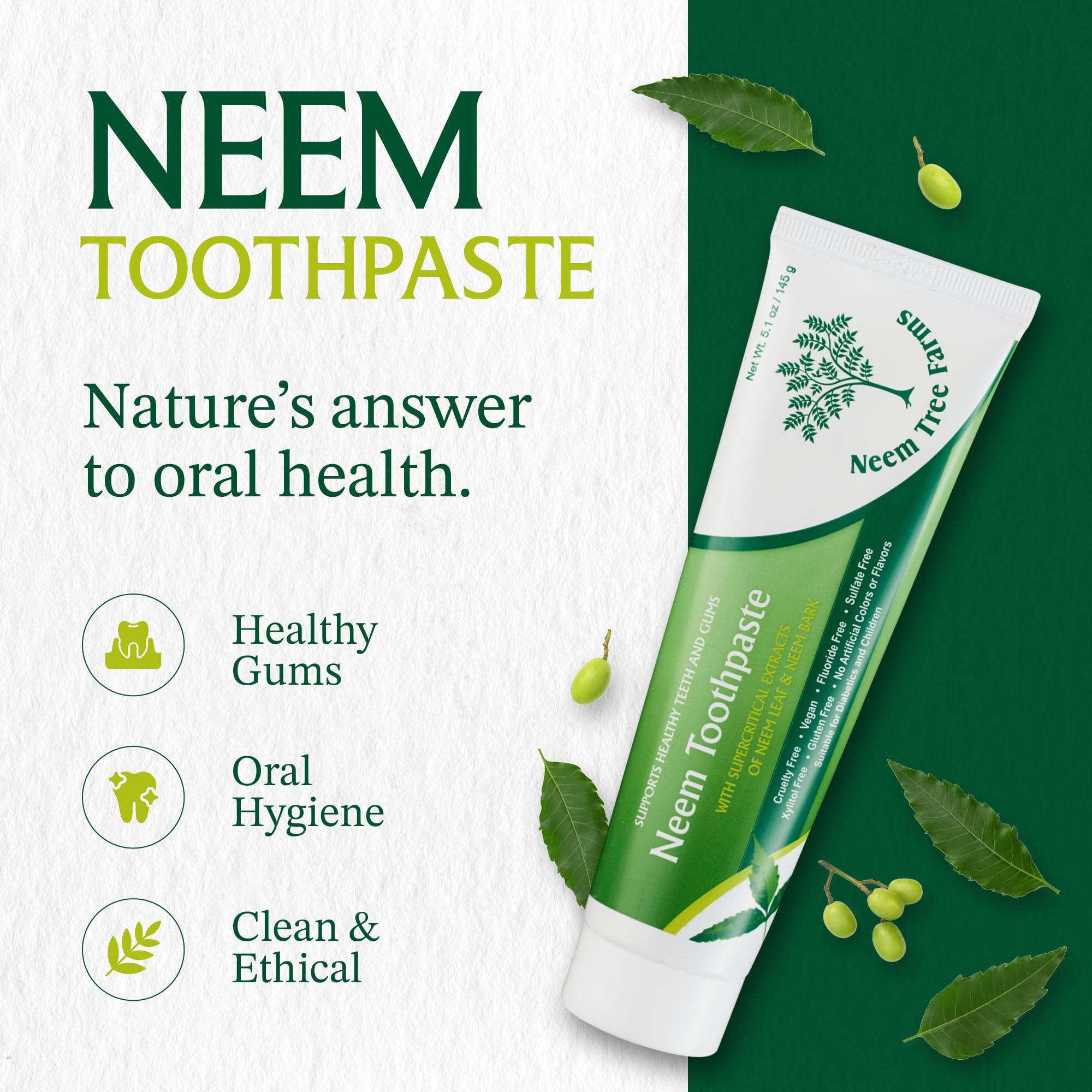 Neem Tree Farms Neem Toothpaste - Fluoride Free Toothpaste Adult, Children & Diabetic Friendly - 100% Vegan Natural Toothpaste Fluoride Free, Gluten Free, No Artificial Ingredients - with Clove & Stevia (2 pk)