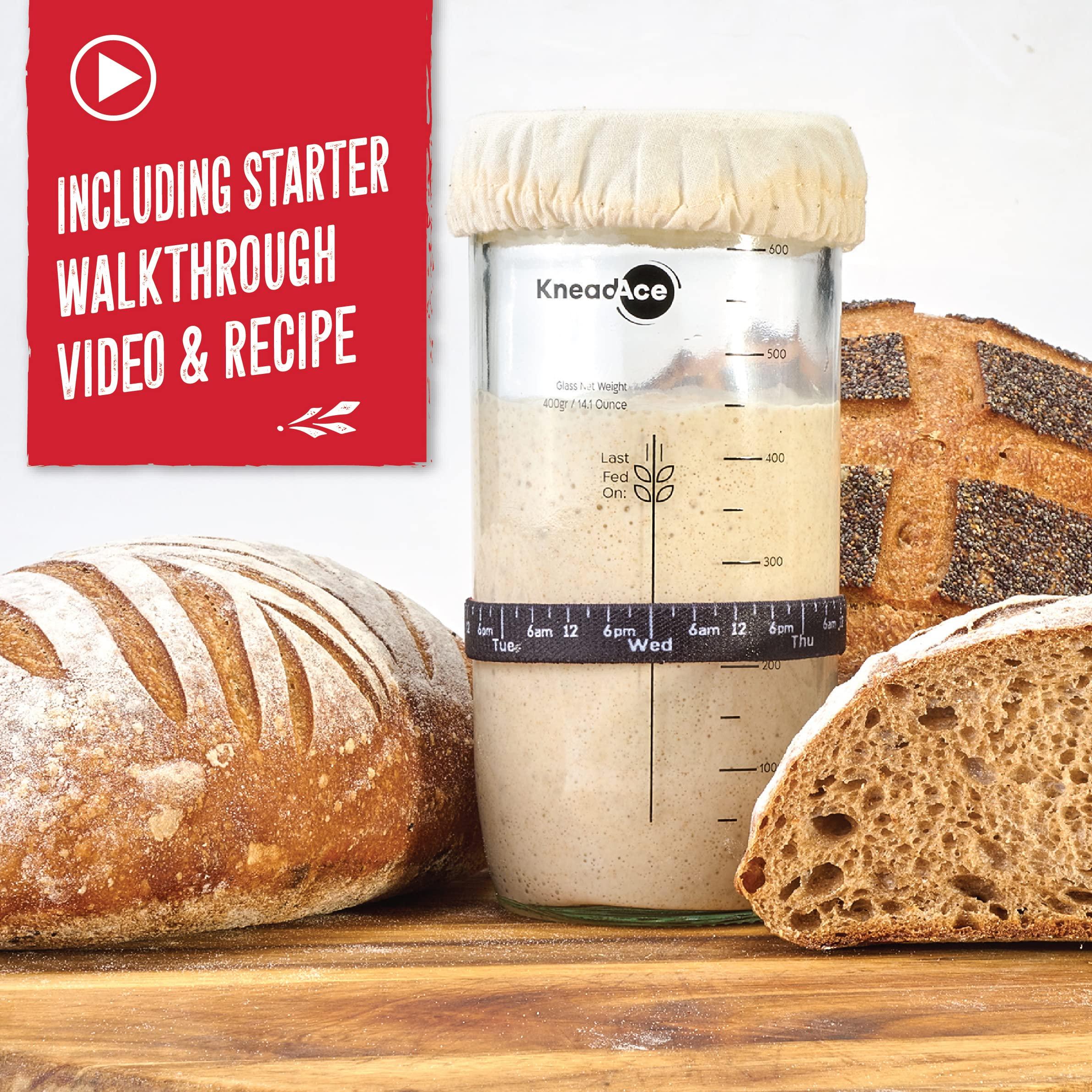 KNEADACE KneadAce 24 Oz Sourdough Starter Jar Kit and Starter Culture