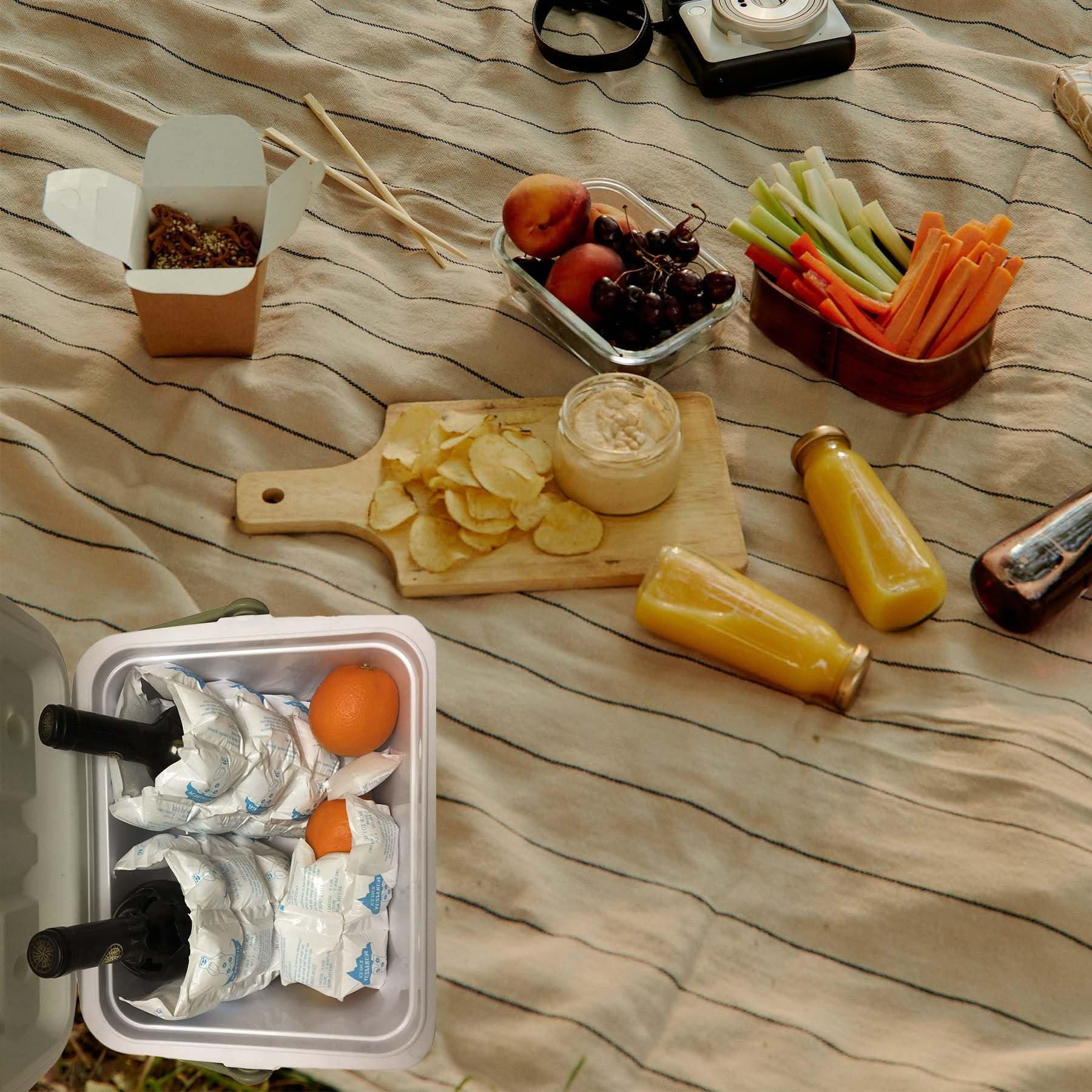 TarppedRock TarppedRock Dry Ice Pack for Shipping Frozen Food, Reusable Ice Packs for Coolers Long Lasting, Flexible Cold Packs Sheets for Lunch Box (5 Large Sheets)