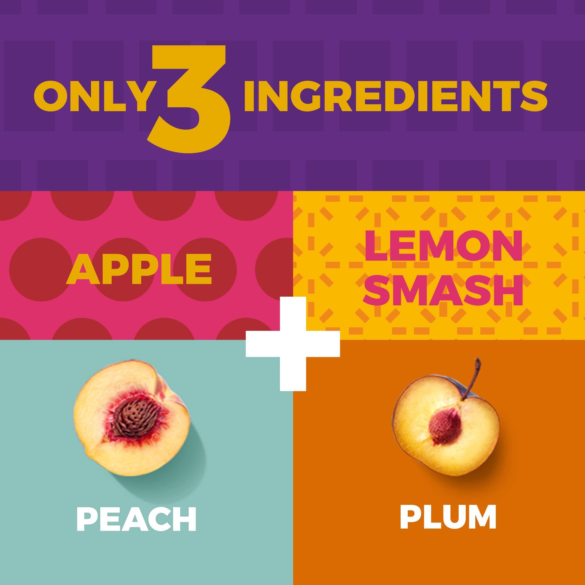 ZEST Delites Fruit Snacks by Zest Delites, Fruit Leather, Healthy Snacks for Adults, Dried Fruit Bars, Gluten Free Fruit Strips, Vegan Healthy Snacks, Fruit Strips, Apple-Based, Peach, Plum, 0.88 oz x 10