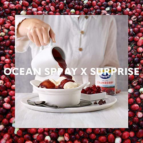 Ocean Spray - Ocean Spray Jellied Cranberry Sauce 14 oz (Pack of 12)