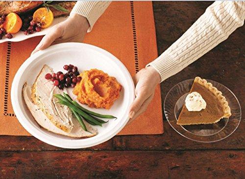 Chinet Chinet 10 3/8 Dinner Plate 100-count Box