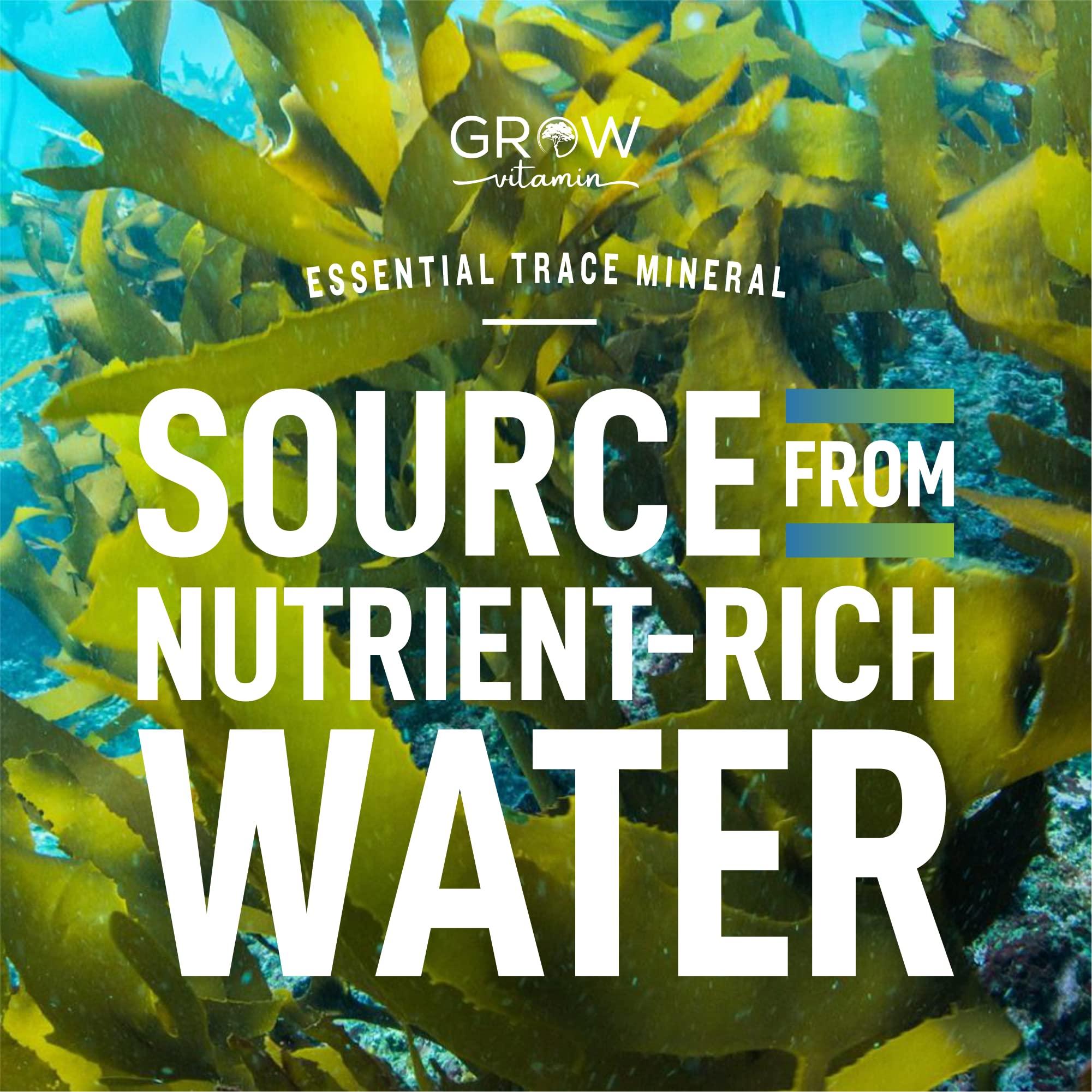 grow vitamin Organic Sea Kelp (Icelandic) Enhanced - Pure Healthy Thyroid Support Natural Iodine Supplement w/Organic Sea Kelp, Blue-Green Algae & Red Algae - Immune System & Metabolism Support - 90 Capsules