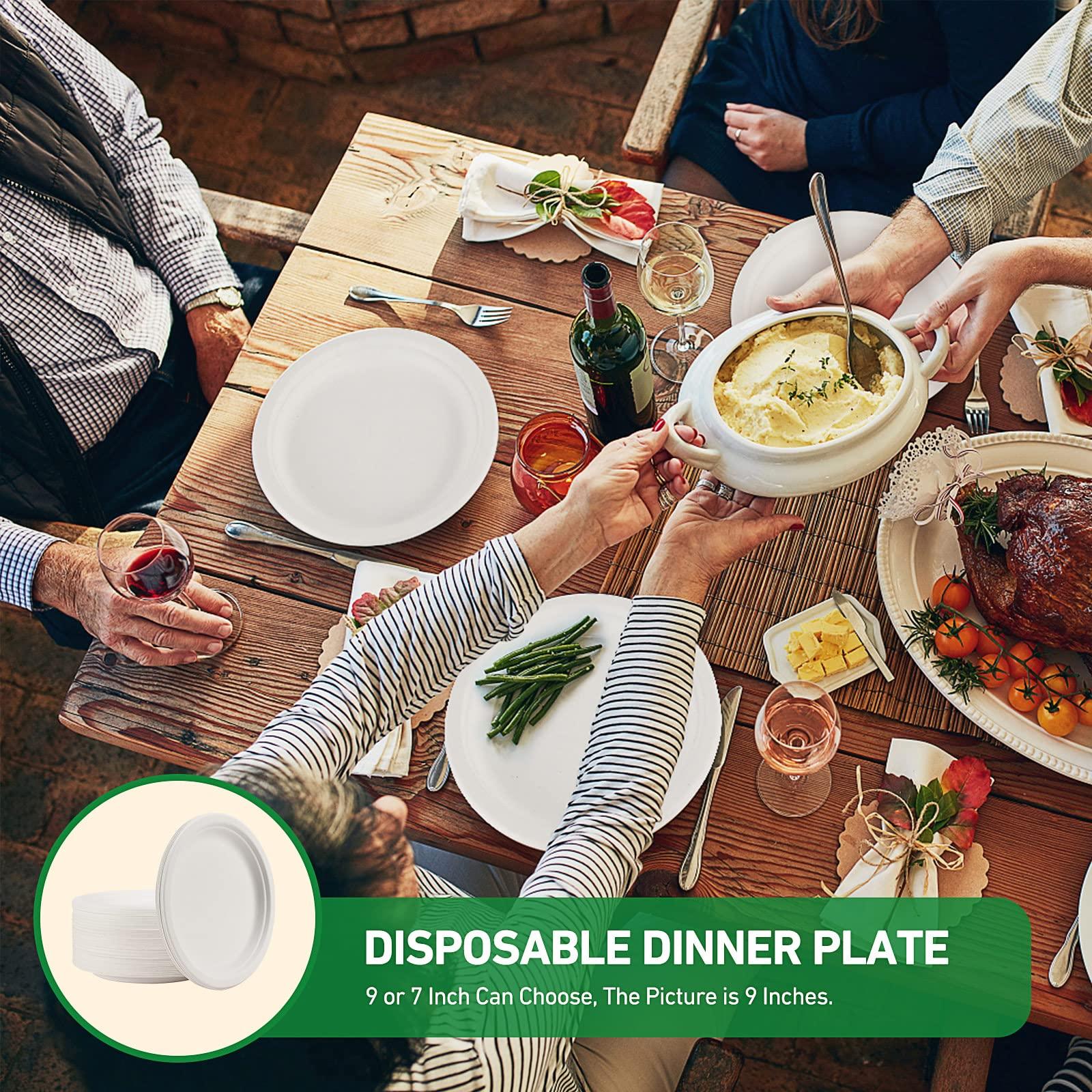 YONGZHUKANG YONGZHUKANG Paper Plates Disposable, Compostable Heavy Duty Plates 9" Biodegradable Sugarcane Bagasse Plates for Dinner Halloween Thanksgiving Christmas Valentines Holiday Party 125 pack