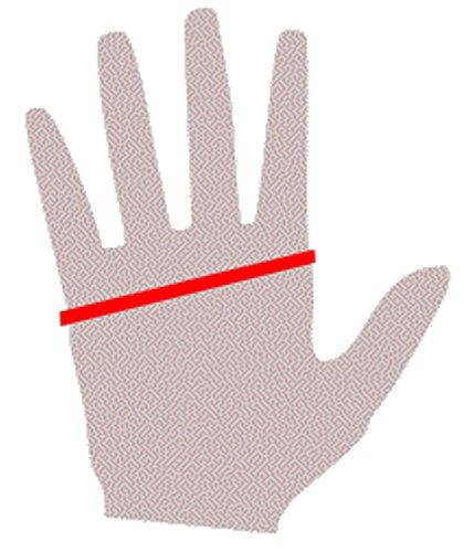 Latexa Premium Latex Long Gloves (Opera Length) Fetish - White (Large - Washed & Shined)