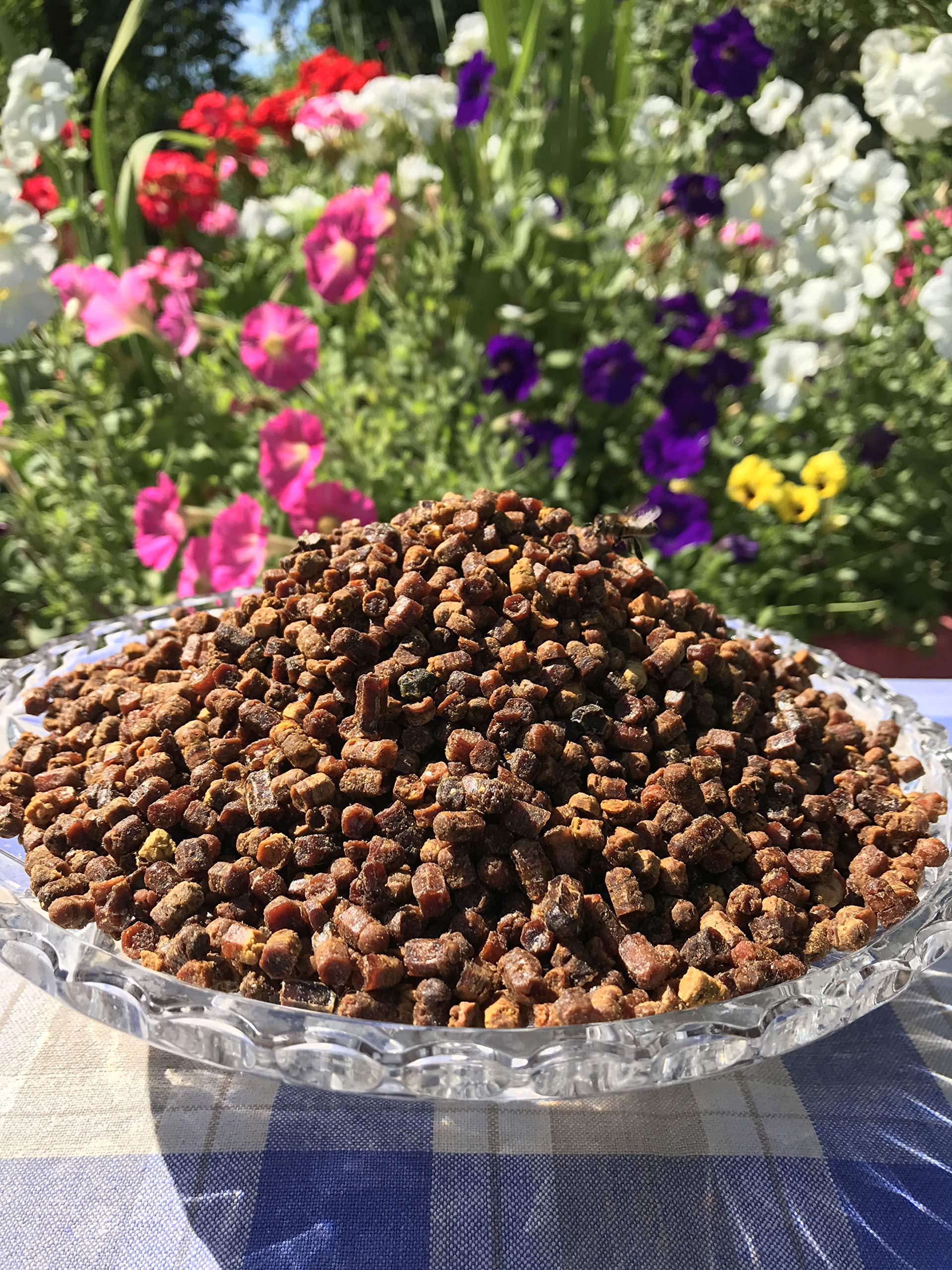 Generic Fresh 100% Organic Bee Bread, Perga, Ambrosia, Naturally Fermented Pollen, 3.53 Ounce / 100g., Excellent Quality, Paper Packaging