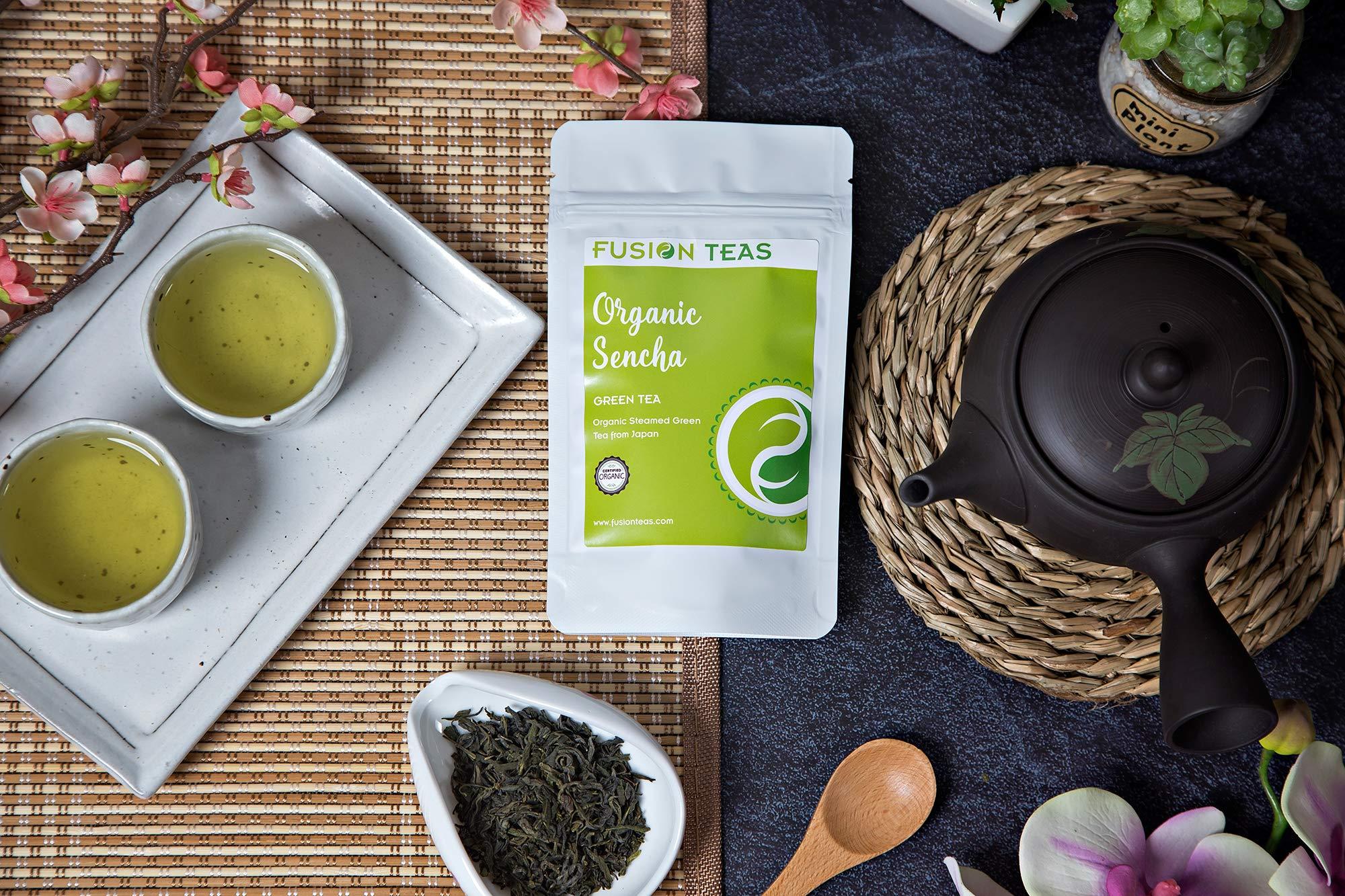 Fusion Teas Sencha (Steamed) Green Tea - Pure Loose Leaf Tea - Directly From The Kagoshima Prefecture In Japan - 1 Pound (16 Oz.) Pouch