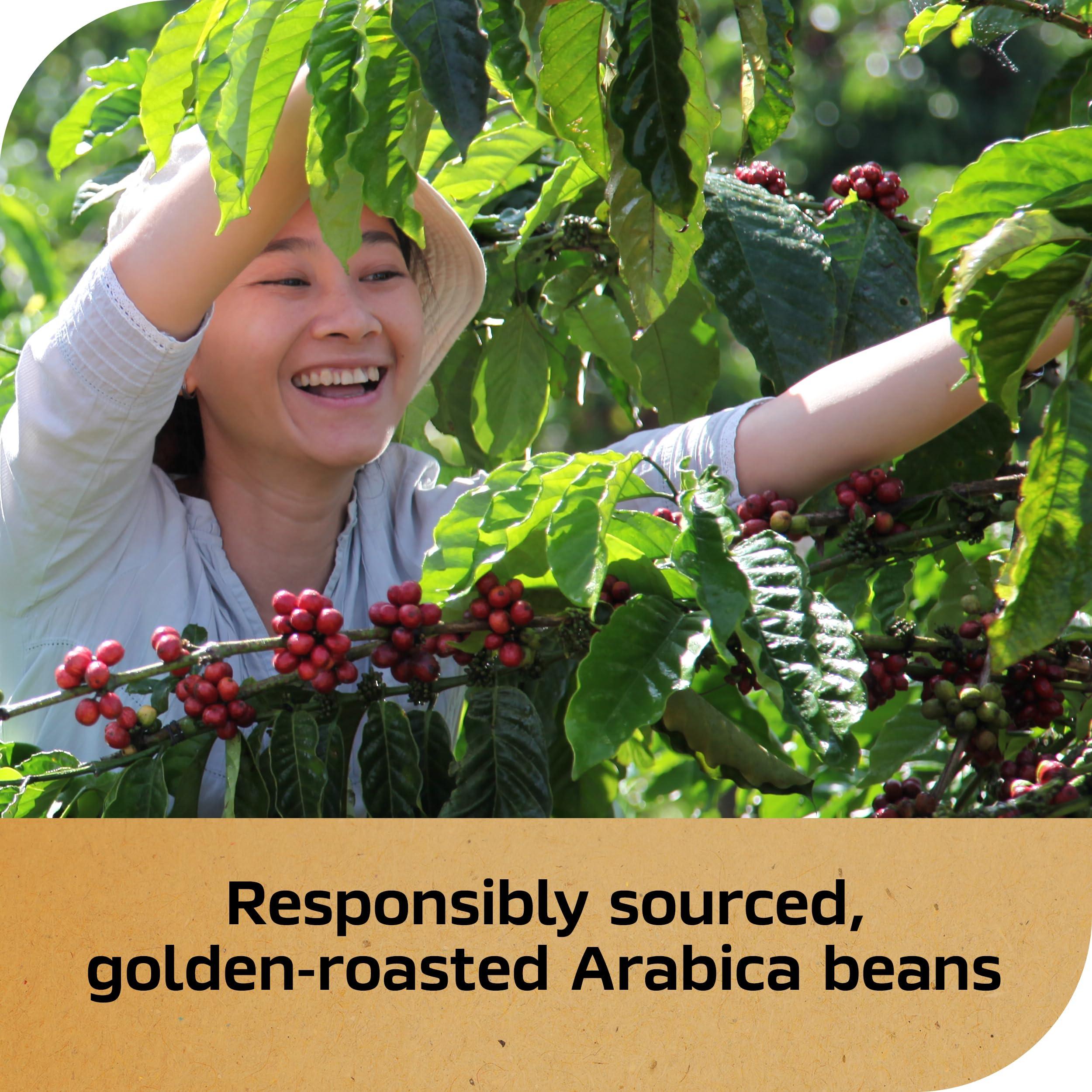 Nescaf NESCAF Gold Espresso Blonde, Instant Coffee, 3.5 oz