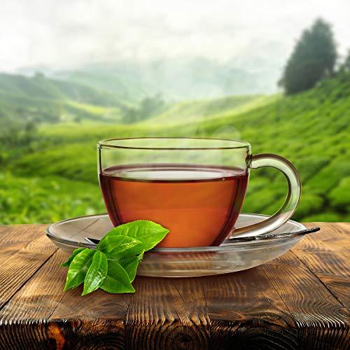 Red Rose Red Rose Orange Pekoe Tea (216)