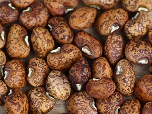 CaribbeanGarden 2 ozs Speckled Purplehull (Southern) Peas,Great Flavor, Shell pea