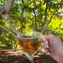 avocado leaf tea Avocado Tea Party With Five Blends | Variety tea Pack | Peach Tea | Lemon Tea | Natural Avocado Leaf Tea | Chamomile Tea | Black Tea | Great Gift Idea