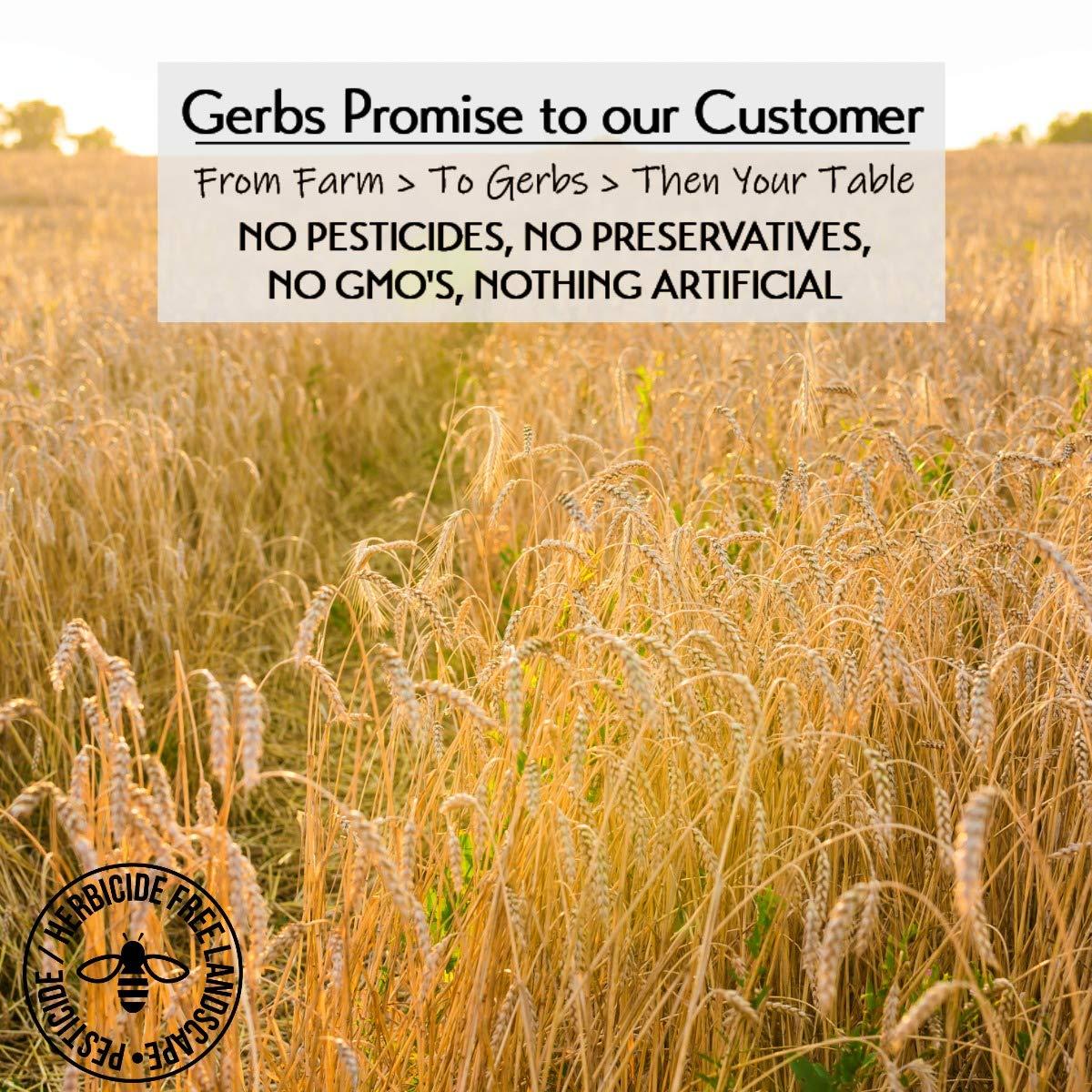 GERBS GERBS Gluten Free Instant Oats, 2 LBS. Premium Grade | Top 14 Food Allergy Free | Freshly harvested in Resealable Bulk Bag | Gluten Peanut Tree Nut Free