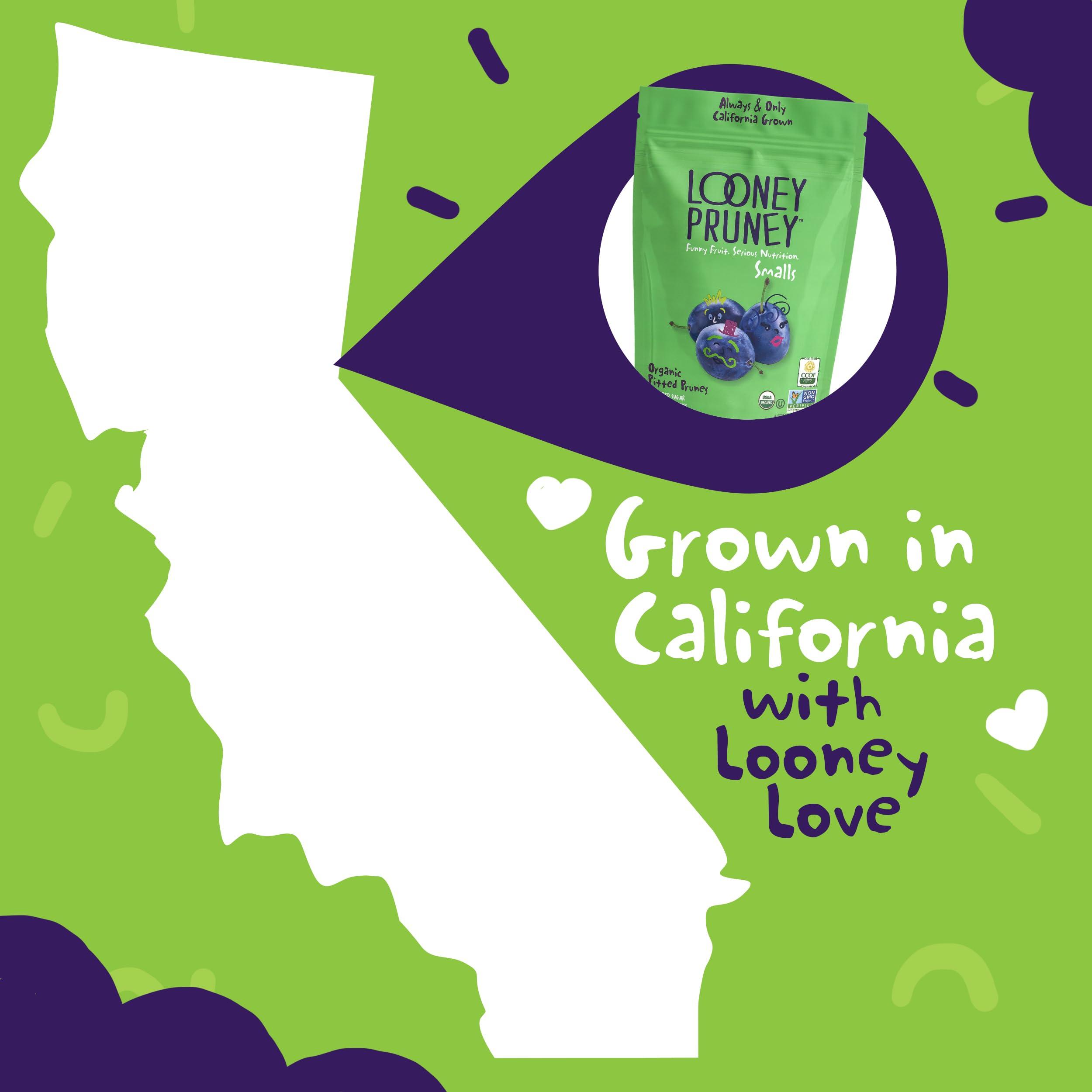 Looney Pruney Looney Pruney Smalls Fruit Snacks | Naturally Sweet Bite-Sized Prunes | Organic Fruit Snack Packs For Kids & Adults | Vegan Food With No Added Sugar & Preservatives | Kosher | 9 oz. (Pack of 6)