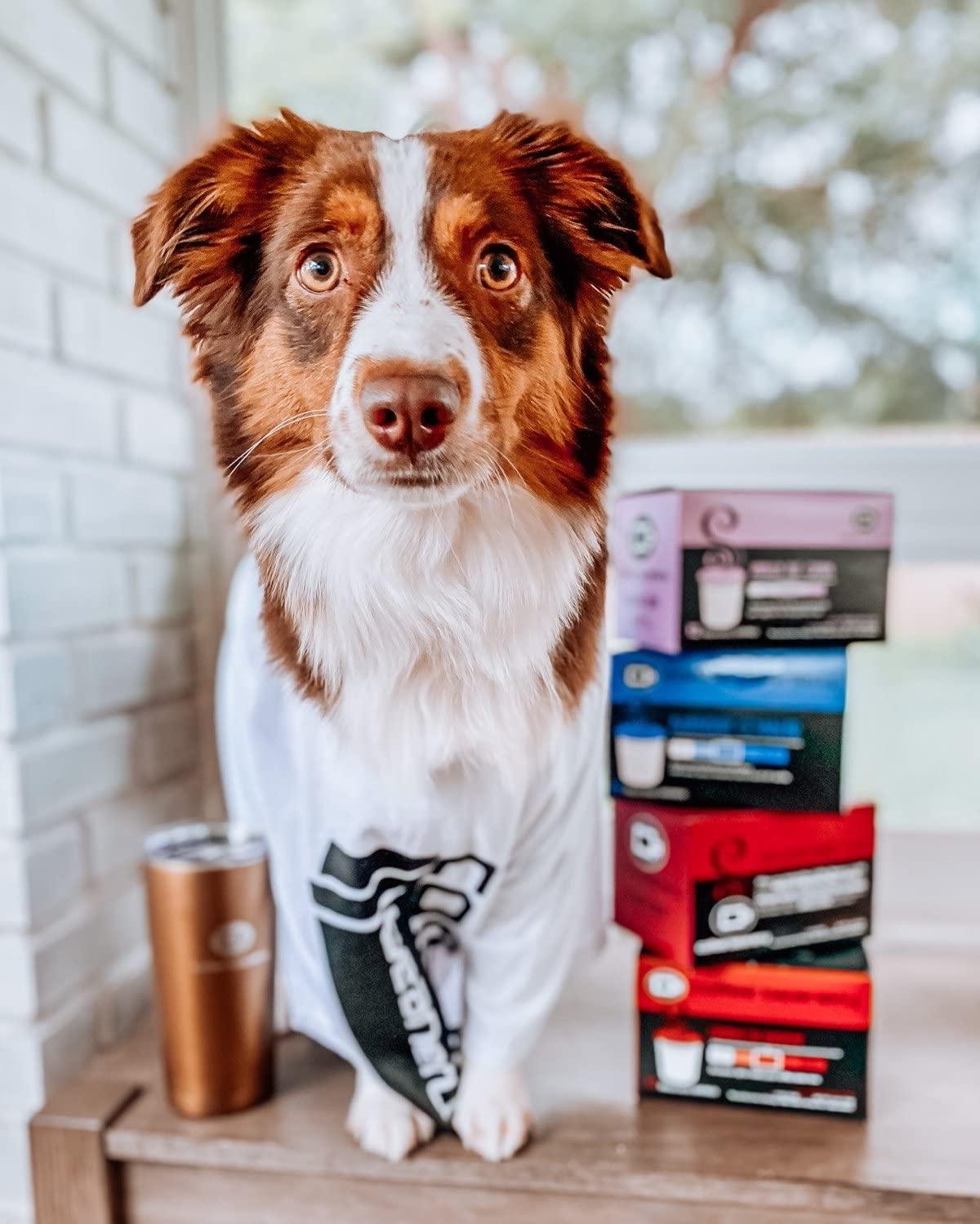 Coffee Beanery Cinnamon Spice Coffee Pods by Coffee Beanery | 96ct Bulk Flavored Coffee Pods Medium Roast Coffee Pods| 100% Specialty Arabica Coffee| Gourmet Coffee Pods